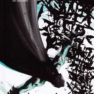 Batman Tome 08 : La Relève